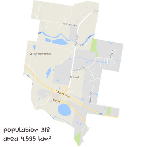 Physics Tutoring Near Me